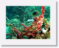 02-UnionIsland - 34